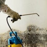 pittsburgh mold remediation