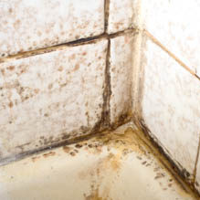 mold inspection in bathroom