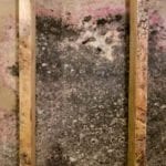 Pittsburgh mold inspector
