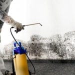 Pittsburgh mold remediation