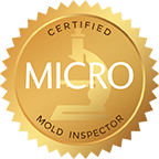Pittsburgh mold inspector